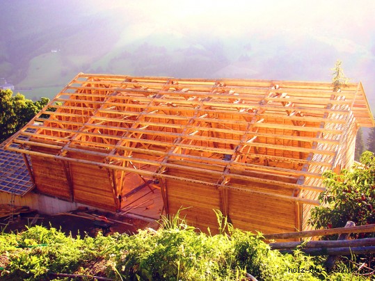 Stallbau Planung Ausführungsstatik Erlacher