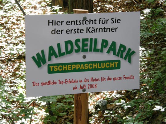 Waldseilpark Tscheppaschlucht - Sondergutachten Baumstatik und Baumvitalität