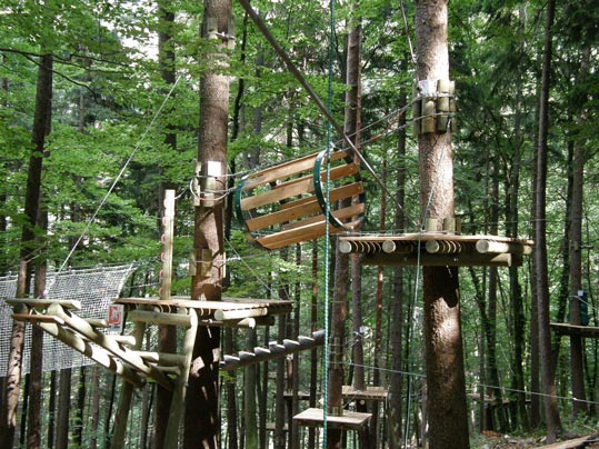 Waldseilpark Tscheppaschlucht - Sondergutachten Baumstatik und Baumvitalität