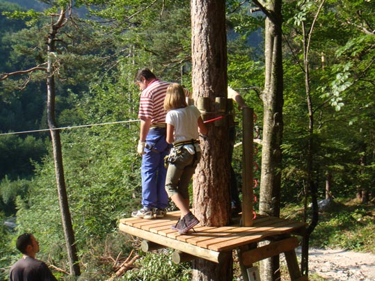 Waldseilpark Tscheppaschlucht - Sondergutachten Baumstatik und Baumvitalität